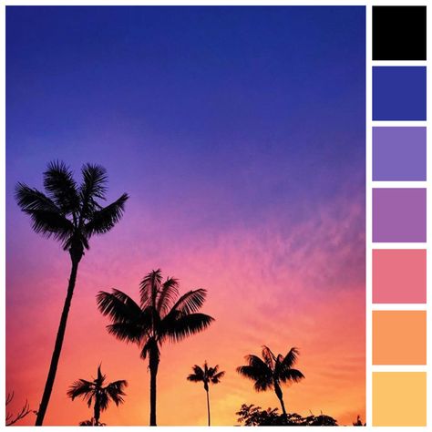 Shades of sunset offer a sophisticated play on the color spectrum while the silhouetted trees transition the palette out of and into warm weather seasons. 📷: @_chris_g @sicky via @flynnskye California Sunset Color Palette, Sunset Beach Palette, Orange Sunset Color Palette, Coachella Color Palette, Sun Set Color Palette, Purple Sunset Color Palette, Colorful Sunset Painting, Los Angeles Color Palette, Sunset Pallet Colour Palettes