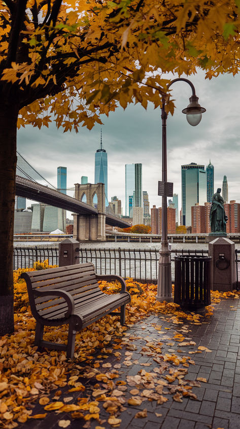 nyc in fall Travel To Usa Aesthetic, Autumn In America, New York Iconic Places, Nyc In Fall Aesthetic, Autumn In New York Wallpaper, New York City In Fall, New York Aesthetic Central Park, New York Morning Aesthetic, Cold Spring New York