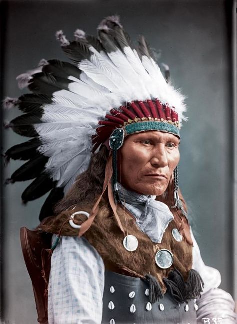 Peace Life, Sitting Bull, Native American Images, Native American Chief, Native American Men, Native American Pictures, Wilde Westen, Western Comics, Colorized Photos