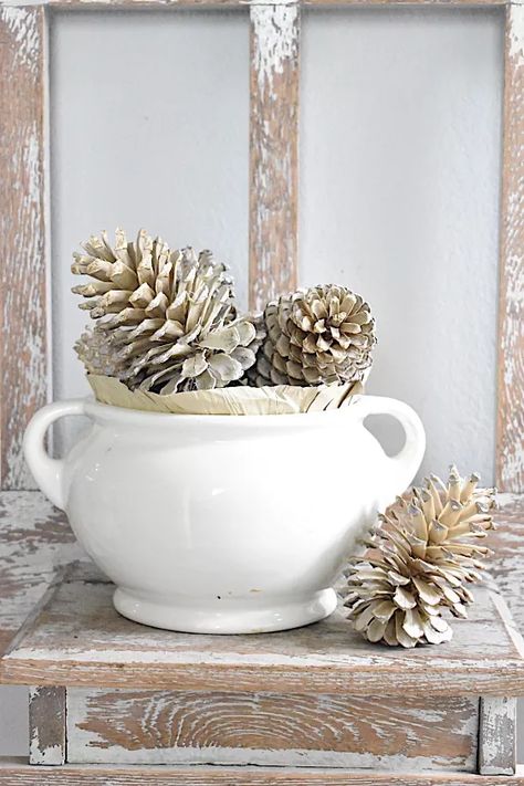 How to Bleach Pinecones | Hometalk Bleaching Pinecones, Bleached Pinecones, Bleach Pinecones, Large Pine Cones, Mantel Garland, Easy Fall Wreaths, Mirror Frame Diy, Artificial Pumpkins, Candy Cane Ornament