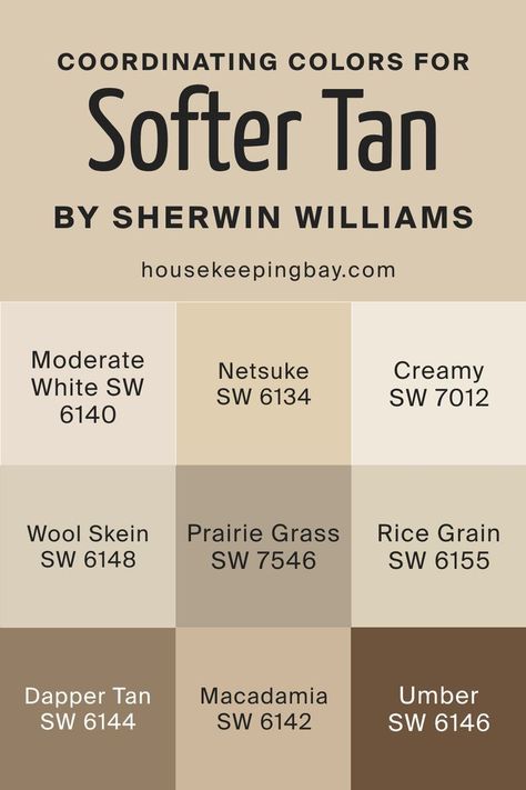 Softer Tan SW 6141  Coordinating Colors by Sherwin-Williams Nutmeg Paint Color, Sherwin Williams Oatmeal Color, Macadamia Paint Sherwin Williams, Sherwin Williams Tan Colors, Sherwin Williams Brown Paint Colors, Sherwin Williams Warm Neutrals, Tan Color Palette, Tan Paint Colors, Brown Paint Colors