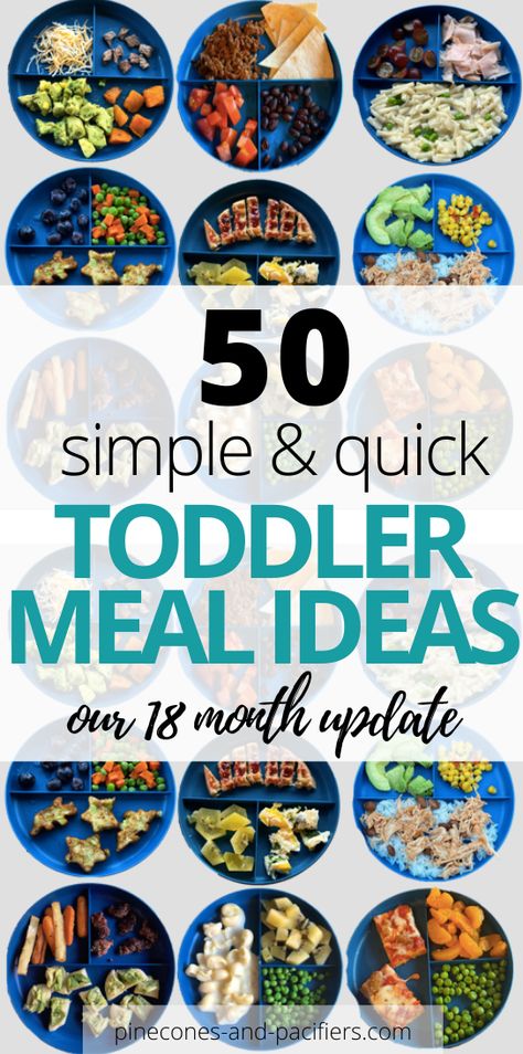 Toddler Menu, Toddler Friendly Meals, Toddler Meal Ideas, Picky Toddler Meals, Easy Toddler Meals, Toddler Dinner, Picky Toddler, Toddler Breakfast, Toddler Lunches