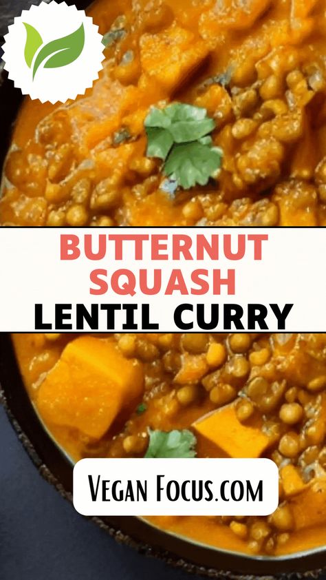 Butternut Squash Lentil Curry is an absolute gem, and surprisingly easy to make! Those tender cubes of butternut squash and lentils soak up all that creamy coconut, spices and vegetable goodness, turning them into bite-sized morsels of pure comfort. This curry makes a tasty dinner or lunch. It also can be made ahead of time, frozen and used on meal prep day. And the best part? It’s totally vegan & gluten-free! Serve some up for lunch or dinner for a delicious meal. 
#veganlentilcurry #glutenfree Squash And Lentils, Butternut Squash Lentil, Vegan Lentil Curry, Hot Spices, Vegan Lunch Recipes, Tasty Dinner, Vegan Curry, Spicy Dishes, Lentil Curry