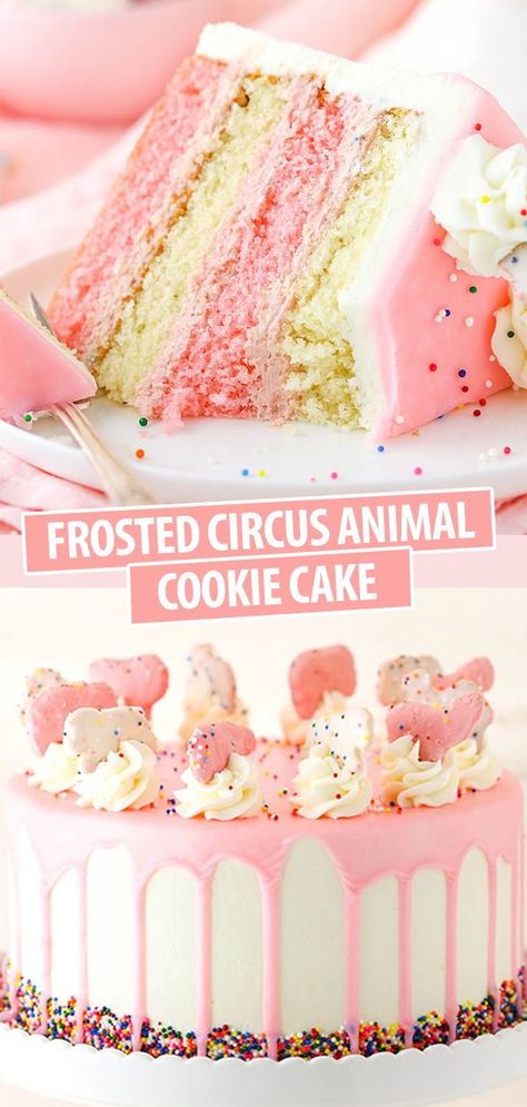 This Frosted Circus Animal Cookie Cake is made with pink and white layers of vanilla cake, filled with a crushed up frosted animal cookie filling and covered in white chocolate buttercream! It’s so much like eating frosted animal cookies in cake form! Circus Animal Cookie Cake, Animal Cookie Cake, Animal Cookies Recipe, Cookie Filling, Frosted Animal Cookies, Circus Animal Cookie, White Chocolate Buttercream, Animal Cookie, Cake Delicious