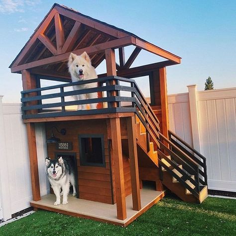 Dog House Ideas, Luxury Dog House, Dog Backyard, Modern Dog Houses, Build A Dog House, Indoor Dog House, Dog House Plans, Large Dog House, Outdoor Dog House