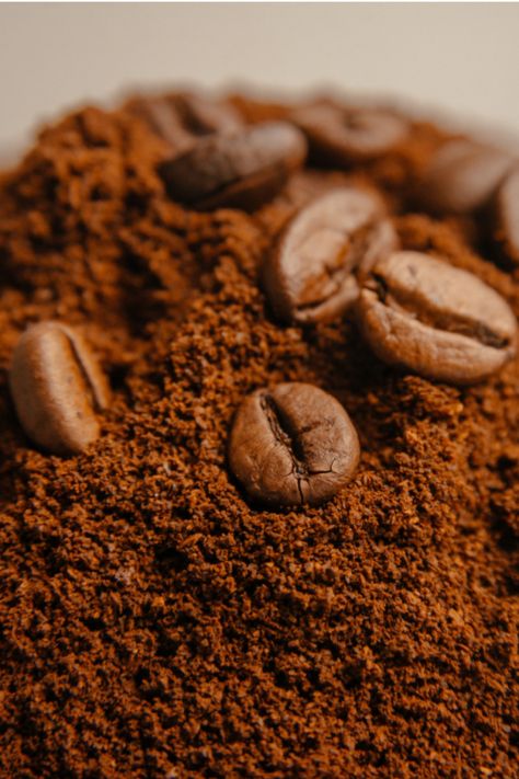 Garding Ideas, Grow Foods, Mocha Hot Chocolate, Growing Coffee, Barista Tools, Coffee Delivery, Vegan Hot Chocolate, Robusta Coffee, Garden Remedies