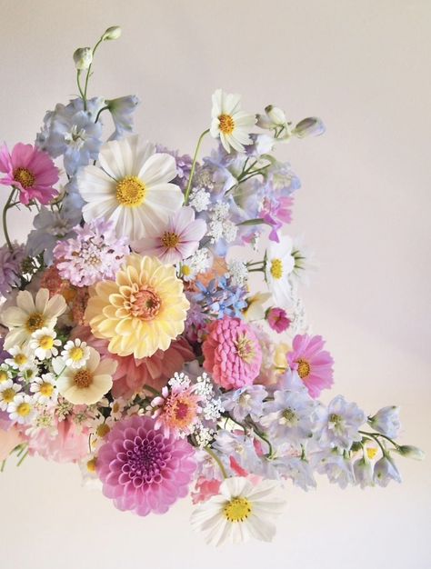 Cosmos Wedding Bouquet, Bouquet Recipe, Deco Champetre, Blue Delphinium, Adelaide Hills, Boquette Flowers, Prom Flowers, Wildflower Bouquet, Meadow Flowers