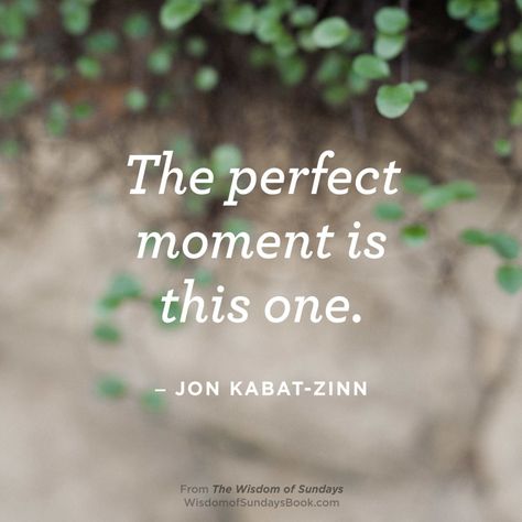 Jon Kabat Zinn Quotes, Buddhism Beliefs, Positive Business Quotes, Jon Kabat Zinn, Morning Pages, Choices Quotes, Comfort Quotes, Courage Quotes, Be Here Now