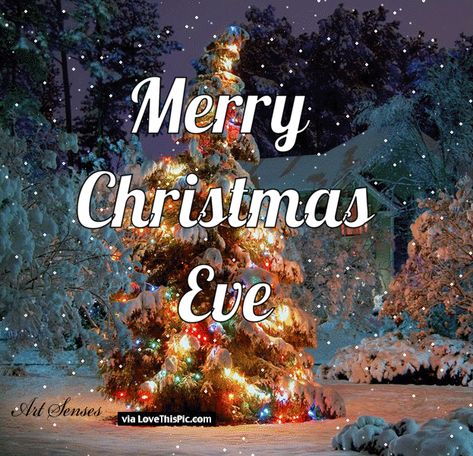 merry christmas eve images | Animated Merry Christmas Eve Gif Quote Pictures, Photos, and Images ... Christmas Eve Images, Christmas Eve Pictures, Merry Christmas Eve Quotes, Christmas Eve Quotes, Christmas Quotes For Friends, Bottle Flowers, Happy Christmas Eve, Cap Art, Merry Christmas Gif