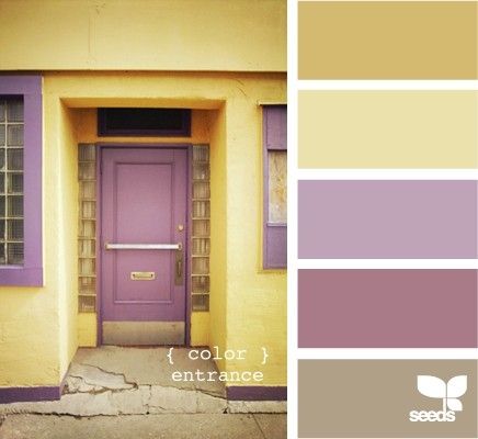 yellow, purple, beige Seeds Color Palette, Purple Comforter, Bedroom Purple, Split Complementary, Seeds Color, Palette Design, Yellow And Purple, Design Seeds, Yellow Purple