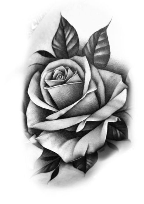 DIY|#tattoo #handtattoo #tattoos #rosetattoo #tattoorose 823 Rose Drawing Tattoo Realistic, Rose Tattoo Stencil, Realistic Rose Tattoo, Rose Flower Tattoos, Rose Drawing Tattoo, Rose Hand Tattoo, Rose Stencil, Rose Tattoos For Men, Realistic Rose