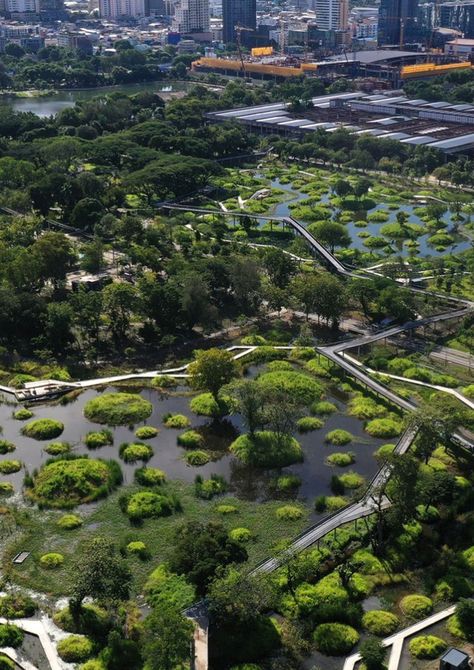 Gallery of Benjakitti Forest Park / Arsomslip Community and Environmental Architect - 2 Salmon Habitat, Urban Forest Design, Wetland Landscape, Public Park Design, Green Parking, Wetland Park, Healing Garden, Urban Forest, Water Day