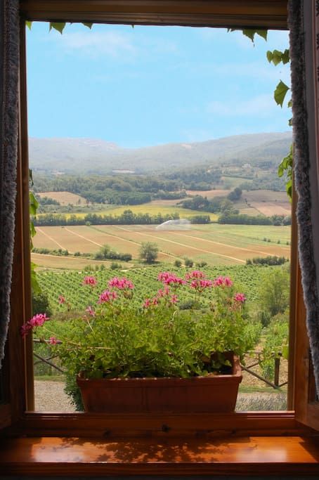 Beautiful Views From Windows, Open Window Photography, Window View Aesthetic, Window Seats Ideas, Window Landscape, View From Window, Rustic Farmhouse Interior, View From A Window, Windows View