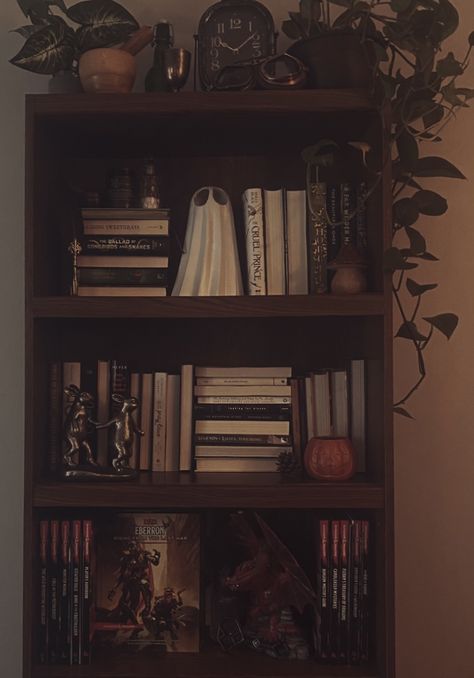 Brown Book Shelf Aesthetic, Dark Academia Room Bookshelf, Bookshelf Dark Aesthetic, Old Bookshelves Aesthetic, Dark Academia Bookshelf Bedroom, Dark Wood Book Shelf, Book Shelf Aesthetic Dark, Bookshelf Styling Dark Academia, Dark Wooden Bookshelf