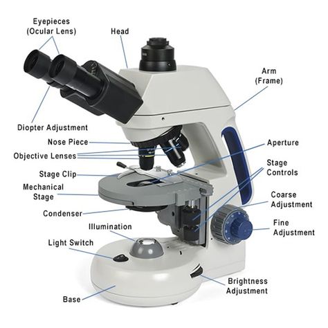 Compound Microscope Parts, Compound Microscope, Microscope Parts, Magnified Images, Electron Microscope, Microscopes, Small Objects, Optical Lens, Aesthetic Editing Apps