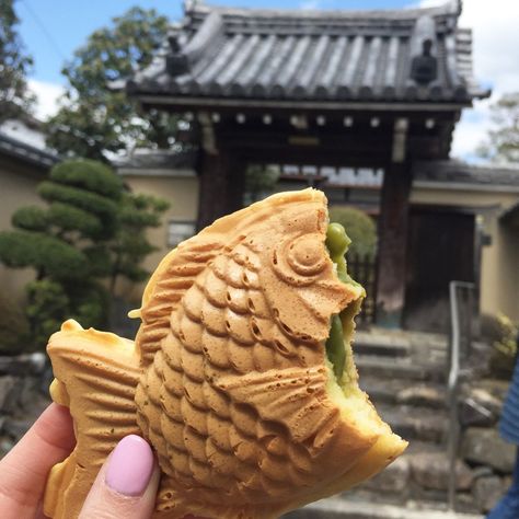 Snacks Japonais, Japan Street Food, Messy Aesthetic, Japenese Food, Asian Snacks, Japanese Sweets, Japan Food, Kyoto Japan, Food Obsession