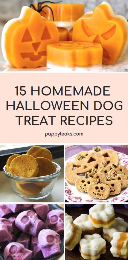 15 Homemade Halloween Dog Treat Recipes. Looking for an easy way to celebrate Halloween with your dog? Check out these 15 Halloween inspired dog treat recipes. Halloween Dog Treats, Homemade Dog Cookies, Postres Halloween, Pet Treats Recipes, Easy Dog Treat Recipes, Dog Biscuit Recipes, Easy Dog Treats, Healthy Dog Treats Homemade, Dog Treats Homemade Recipes