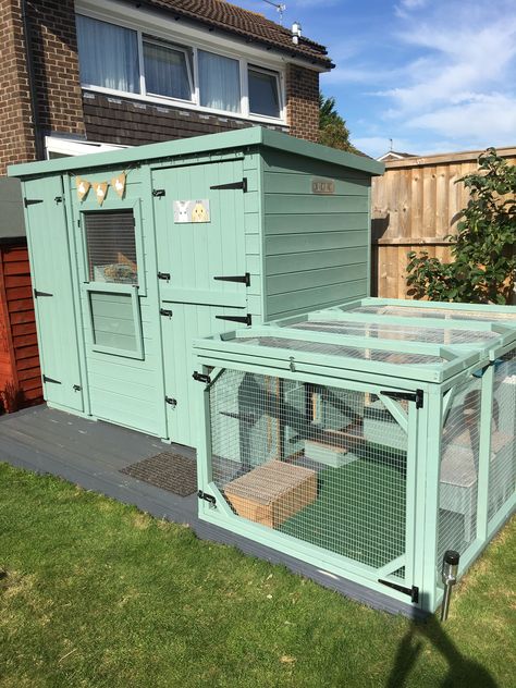 Bunny Sheds Outdoor, Bunny Set Up Outdoor, Guinea Pig Set Up Ideas, Bunny Enclosure Outdoor, Bunny Set Up Indoor Cute, Baby Rabbits Cute, Outdoor Bunny Hutch, Pet Bunny House, Bunny Sheds