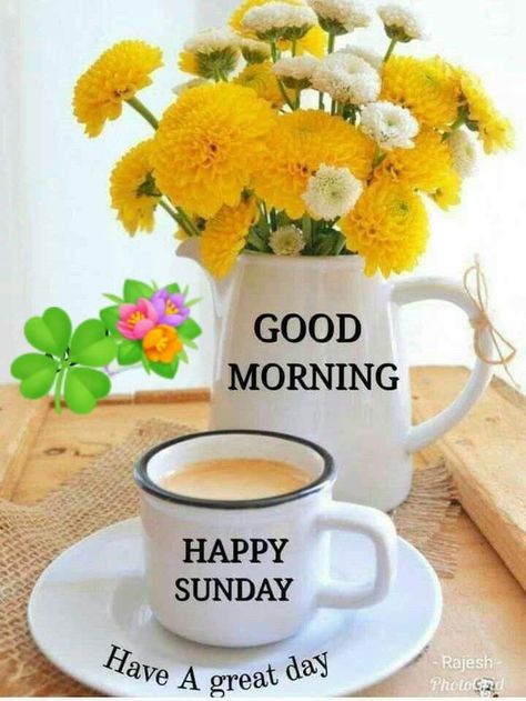 Sunday Have A Great Day, Sunday Wallpaper, Happy Sunday Messages, Sunday Morning Wishes, Good Morning Gift, Happy Sunday Images, Good Morning Sunday Images, Happy Sunday Morning, Sunday Morning Quotes