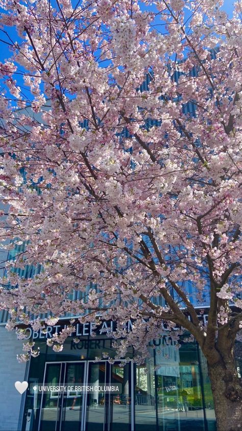 Ubc Vancouver Campus Aesthetic, Ubc Vancouver Aesthetic, University Of British Columbia Vancouver, University Goals, Vancouver Aesthetic, Ubc Vancouver, Vancouver Life, Future Manifestation, Uni Aesthetic