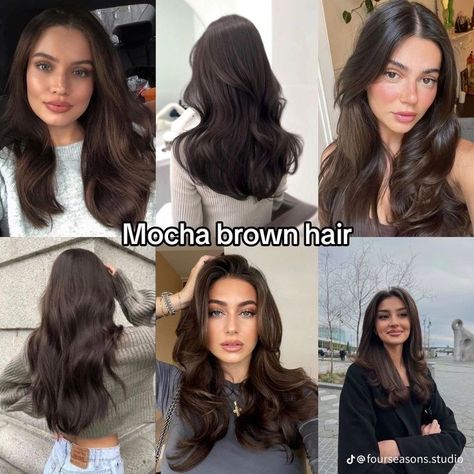 Medium Long Haircuts For Fine Hair, Different Brunette Shades, Dark Amber Brown Hair, Neutral Warm Hair Colors, Dark Mocha Brown Hair Color, Mocha Brown Hair Color With Highlights, Different Shades Of Brunette Hair, Brown Mocha Hair Color, Cool Mocha Brown Hair