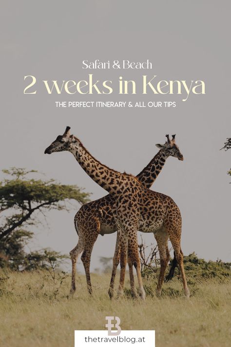 2 weeks in Kenya - Safari and beach itinerary with all our tips for a perfect trip Kenya Travel Itinerary, Trip To Kenya, Kenya Itinerary, Kenya Holiday, Beach Itinerary, Kenya Trip, Travel Kenya, African Vacation, Africa Itinerary