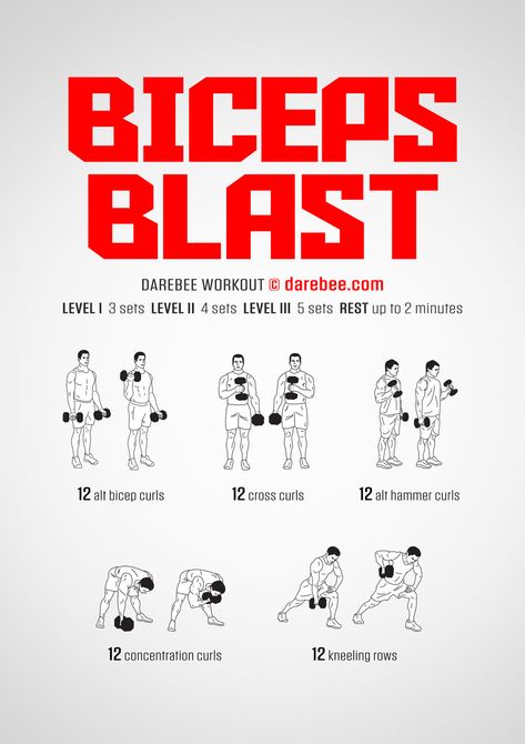 Biceps Workout Dumbbell Men, Arm Workout Men Dumbell, Biceps Workout For Men At Home, How To Get Big Biceps At Home, Bicep Calisthenics Workout, Home Workout Biceps, Grow Biceps Fast, At Home Arm Workout Dumbells, Most Effective Bicep Workout