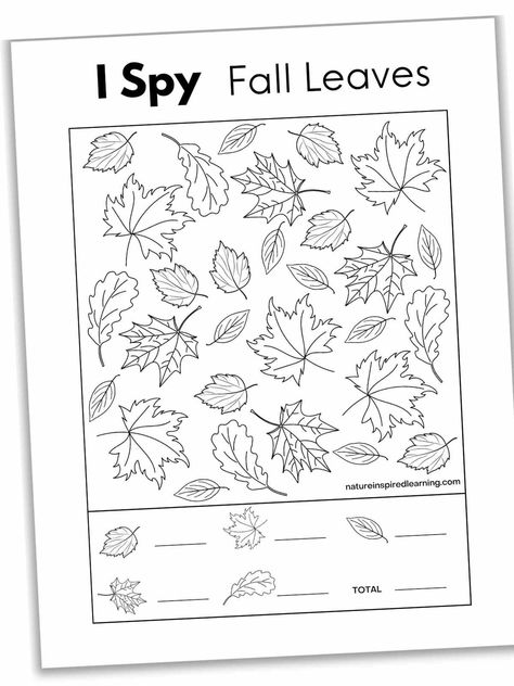 black and white i spy printable with fall leaf clip art including maple leaves, beech leaves, and oak leaves. Leaves Activities For Preschoolers, Fall Activity Sheets, Leaves Preschool Activities, Fall I Spy Printables For Kids Free, Fall I Spy, Fall Tree Worksheet, I Spy Fall Printables For Kids Free, Fall Mazes Printable, I Spy Autumn Free Printable