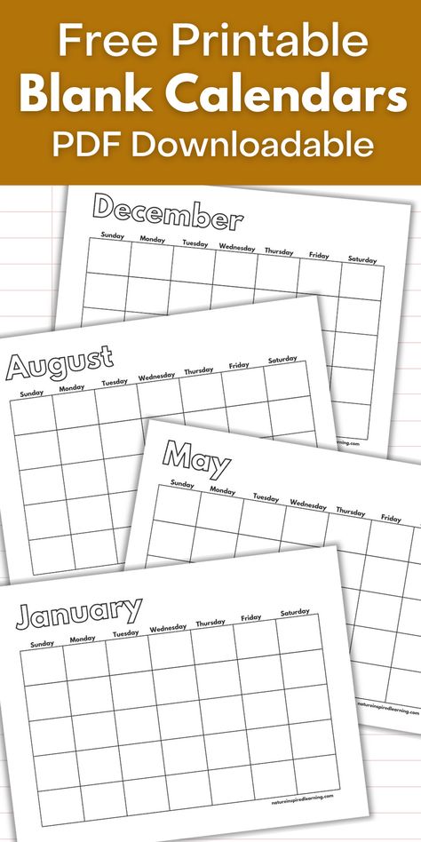 Blank monthly calendars to print off and decorate! Add your own dates to these monthly calendar pages. Great additions to a personal planner. Free Printable Blank Calendars, Calnder2023 November, Free Printable Blank Monthly Calendars, Teacher Calendar Printables Free, Blank Calenders, Blank Calander Templates, Calendar Months Printables, Editable Monthly Calendar Template Free Printable, Monthly Activities Calendar