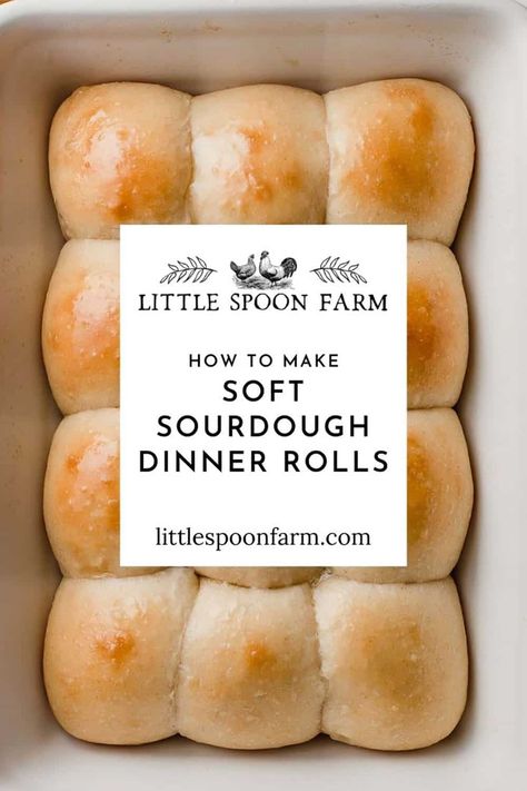 Soft sourdough dinner rolls are everything you ever dreamed of! These amazing, pull-apart style dinner rolls are soft and fluffy with just a touch of sweetness. You won't believe how easy they are to make! Rolls For Dinner, Frugal Pantry, Sourdough Dinner, Homestead Diy, Sourdough Dinner Rolls, Recipe Using Sourdough Starter, Sourdough Rolls, Discard Recipe, Sourdough Bread Starter