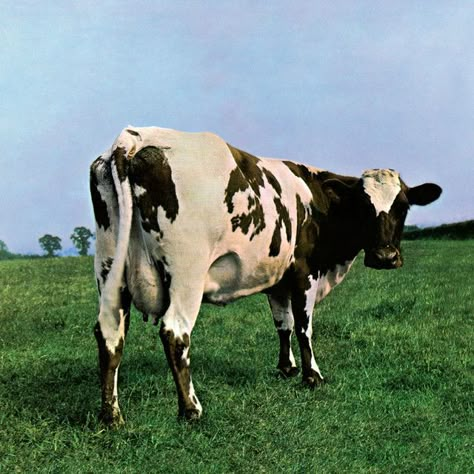 Atom Heart Mother (2011 Remastered Version) by  Pink Floyd on Spotify Mother Pink Floyd, Pink Floyd Record, Pink Floyd Album Covers, Pink Floyd Music, Atom Heart Mother, Pink Floyd Albums, H.r. Giger, The Velvet Underground, Buddy Guy