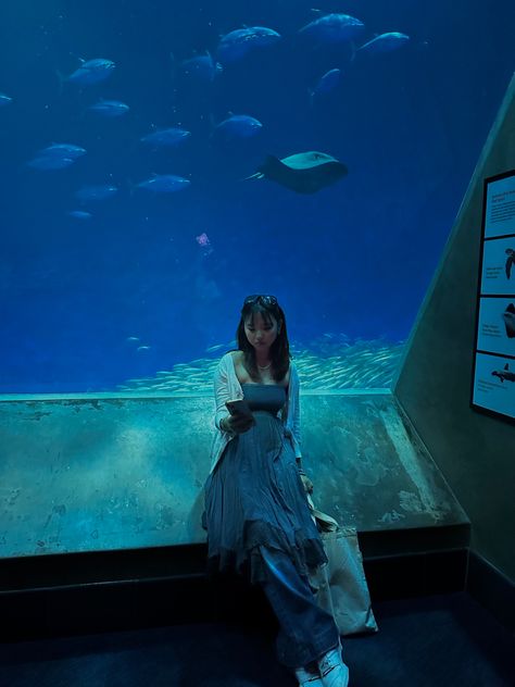 DRESS AND JEANS blue fit idk what to say here hello aesthetic fish aquarium what Aquarium Date Outfit, Hello Aesthetic, Dresses Over Jeans, Aquarium Trip, Aesthetic Fish, Dress And Jeans, Aquarium Photos, Idk What To Say, Aquarium Pictures