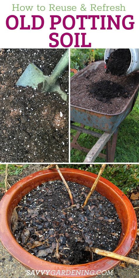 Can you reuse potting soil? Yes, and here’s how! How to repurpose your potting soil to add nutrients back into the soil naturally and save money. Container gardeners can reuse potting mix with our DIY potting soil recipes. This healthy soil mix will ensure the health of your container plants. You can reuse old potting soil with this method for potting new plants. Here is how to care for your used potting soil. Preparing Soil For Planting, Gardening Soil Preparation, How To Add Nutrients To Soil, Homemade Potting Soil, Potting Soil Mix Recipe, Diy Potting Soil, Growing Vegetables In Pots, Healthy Soil, Garden Remedies