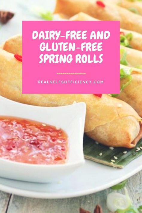 Try this delicious spring roll recipe. Not only are they yummy, but they are also dairy-free and gluten-free too. These spring rolls are healthy, delicious, and fast and easy to make. They taste far better than the greasy ones you buy from the shop or those that come from your local Chinese takeaway. You’ll be blown away by the fresh, delicious flavor. #glutenfree #dairyfree #Chinese #springrolls #healthyfood #orientalfood Gluten Free Spring Rolls, Gluten Free Chinese Food, Gluten Free Chinese, Dairy And Gluten Free, Cooking Chinese Food, Chicken Spring Rolls, Chinese Takeaway, Spring Roll Recipe, Appetizer Dishes