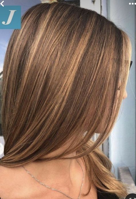 Rambut Brunette, Honey Hair Color, Honey Brown Hair, Hair Color Caramel, Brown Hair Dye, Brunette Hair With Highlights, Brown Hair With Blonde Highlights, Caramel Hair, Honey Blonde Hair