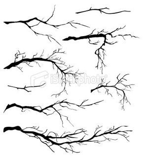 Tree / branch drawing Branch Drawing, Boom Kunst, Tattoo Tree, Drawing Eyes, Bare Tree, Branch Design, 수채화 그림, Ink Drawings, Design Tattoo