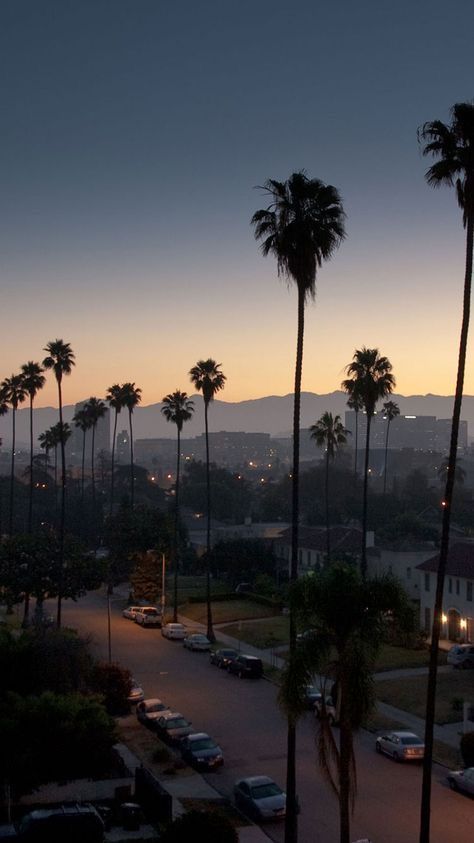 Los Angeles Palm Trees, Los Angeles Wallpaper, Palm Trees Wallpaper, City Of Angels, California Dreaming, City Aesthetic, Pretty Places, Sky Aesthetic, Travel Aesthetic