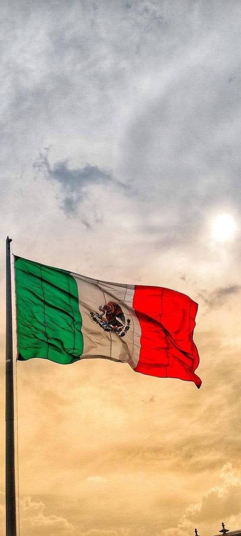 Bandera de México Latina Aesthetic Wallpaper, Mexican Summer, Mexico Wallpaper, Mexican Themed Weddings, Latina Aesthetic, Mexican Independence Day, Mexican Culture Art, Mexico Culture, Mexican Flag