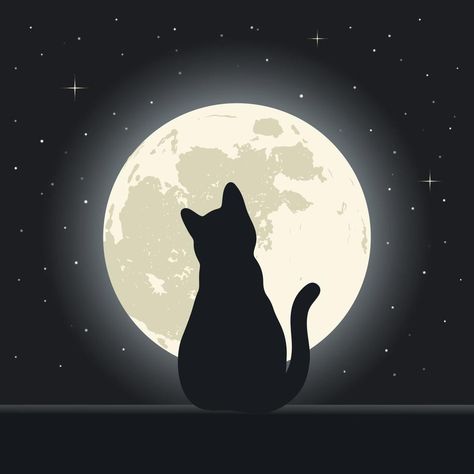 Cat on a background of the night sky with stars and the moon Moon Cat Drawing, Cat Drawing Black, Night Sky With Stars, Stars And The Moon, Black Cat Drawing, Good Night Cat, Sky With Stars, Cat Shadow, Black Cat Painting