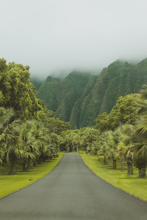 Hawaii Green Aesthetic, Hawaii Aesthetic Home, Tropical Green Aesthetic, Green Travel Aesthetic, Travel Green Aesthetic, Old Hawaii Aesthetic, Hawaii Aesthetic Vintage, Aesthetic Hawaii, Vintage Hawaii Aesthetic