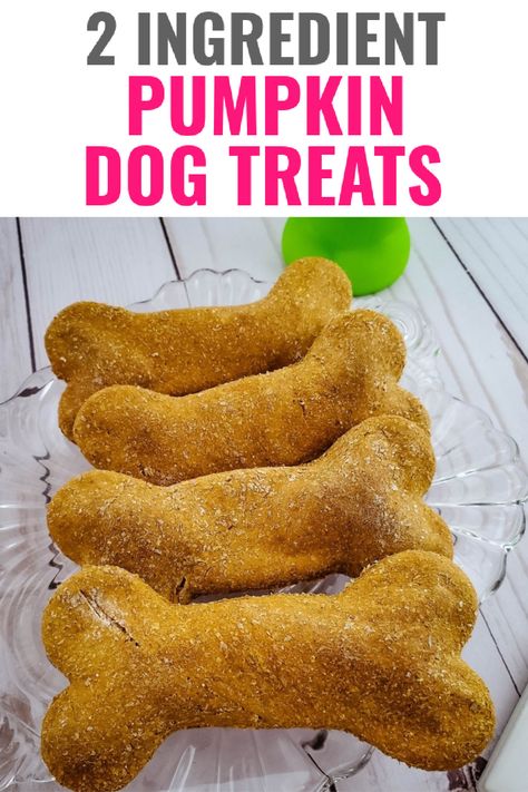 Pumpkin Dog Treats With Oat Flour, Pumpkin Dog Treat Recipe Easy, Pumpkin Seed Dog Treats, Canned Pumpkin Dog Recipes, Gluten Free Pumpkin Dog Treats, Pumpkin Recipes For Dogs Doggie Treats, Pumpkin Puree Dog Recipes, Homemade Dog Treats With Pumpkin And Applesauce, Pumpkin Oat Flour Dog Treats