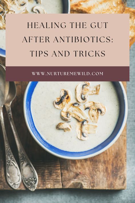 Healing the Gut After Antibiotics What To Eat After Taking Antibiotics, Healing Gut After Antibiotics, Rebuild Gut After Antibiotics, Healing Your Gut After Antibiotics, Post Antibiotic Diet, Foods To Eat While On Antibiotics, Homemade Antibiotics How To Make, Homemade Antibiotics, Homemade Antibiotic