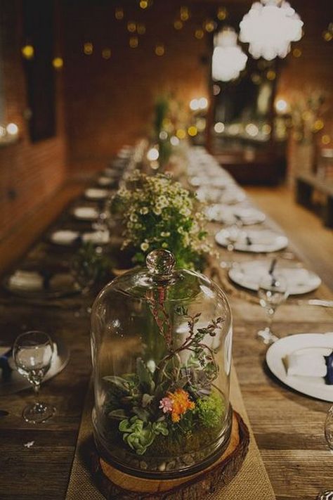 country terrariums wedding centerpiece / http://www.himisspuff.com/geometric-terrarium-wedding-ideas/8/ Terrarium Wedding Centerpiece, Geometric Terrarium Wedding, Carondelet House Wedding, Iris Wedding, Centerpieces Rustic, Cloche Decor, Terrarium Centerpiece, Terrarium Wedding, Expensive Flowers