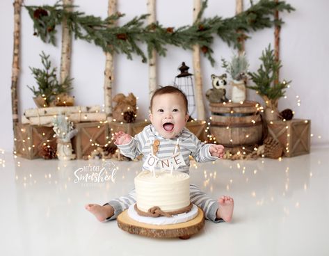 South Jersey Cake Smash Photographer, winter woodland theme, rustic, neutral, 1st Birthday backdrop-https://www.picture-perfectbackdrops.com/product-page/rustic-woods-60x80-with-lights-fleece Jersey Cake, Cake Smash First Birthday, First Birthday Winter, Winter Wonderland Cake, Cake Smash Theme, First Birthday Photography, Onederland Birthday Party, Boys 1st Birthday Party Ideas, Baby Boy 1st Birthday Party