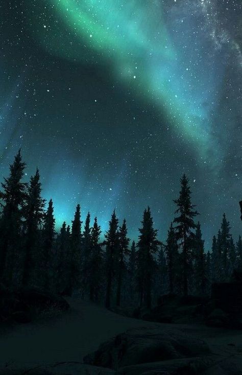 The Night Sky, Night Sky, Aurora, Northern Lights, Trees, Stars, Green, Blue