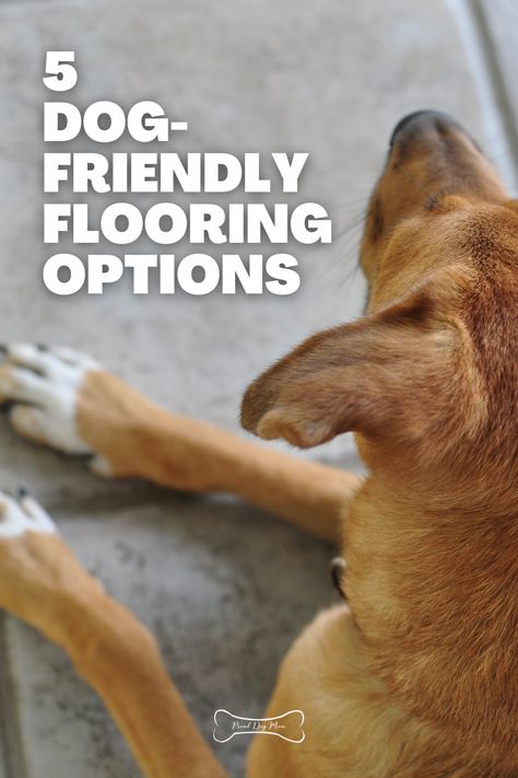 Dog Flooring Ideas, Dog Proof Flooring, Pet Friendly Living Room Ideas, Dog Playroom Ideas, Dog Friendly Home Ideas, Best Floors For Dogs, Dog Friendly Flooring, Maltese Grooming, Pet Friendly Living Room