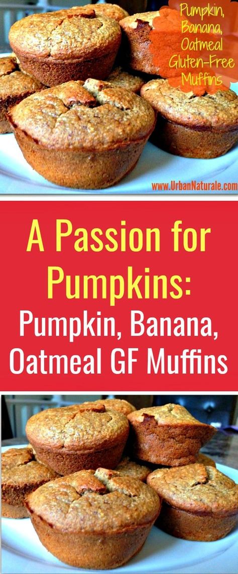 A Passion for Pumpkins: Pumpkin, Banana and Oatmeal Gluten-Free Muffins- Wondering what to make with those all of those sweet sugar pumpkins you bought for Halloween? Make some healthy and delicious flourless pumpkin muffins. #pumpkinmuffins #pumpkins #muffins #glutenfreemuffins #banana #oatmeal Pumpkins Muffins, Oatmeal Muffins Gluten Free, Flourless Pumpkin Muffins, Vegan Potluck, Pumpkin Recipes Healthy, Potluck Party, Food Vegetarian, Gluten Free Oatmeal, Vegan Style