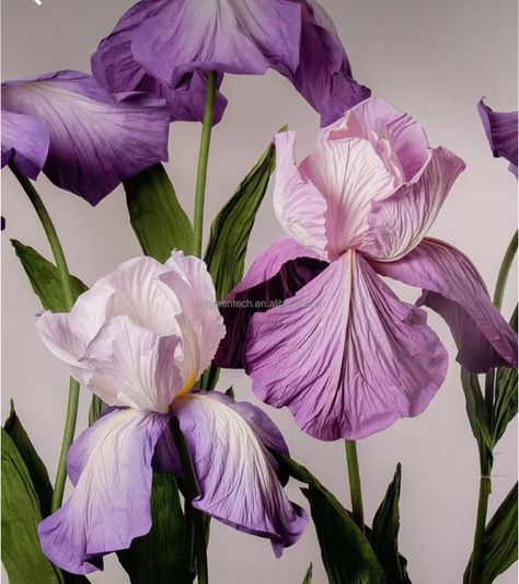 Giant Artificial Flowers, Iris Paper Flower, Crepe Paper Iris, Giant Silk Flowers Diy, Giant Crepe Flowers, Giant Foam Flowers Diy, Giant Crepe Paper Flowers, Eva Foam Flowers, Paper Iris