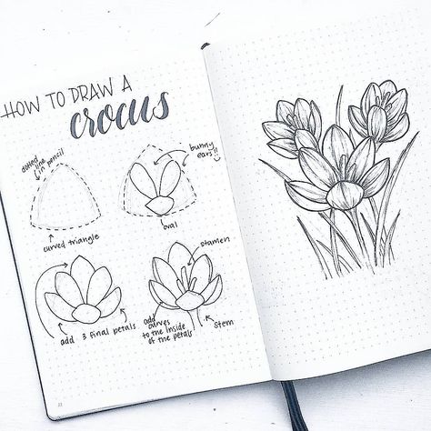 Want to learn to create stunning and beautiful flower doodles for your bullet journal layouts? Learn these amazing doodle flower patterns and tutorials that are very simple. These pretty, step-by-step botanical doodles will have you looking like a bullet journal artist! #bulletjournal #flowerdoodles #doodles #howtodraw #bujo Hur Man Ritar Blommor, Easy Flower Drawings, Botanical Line Drawing, Drawing Hands, Flower Drawing Tutorials, Flowers Drawing, Drawing Faces, Floral Drawing, 수채화 그림