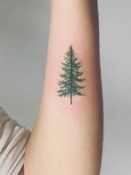 25 Intricate Tree Tattoos for Men in 2021 - The Trend Spotter Tree Tattoo Green, Tree Tattoos For Men, Evergreen Tattoo, Evergreen Tree Tattoo, Tree Silhouette Tattoo, Pine Tattoo, Cherry Blossom Tree Tattoo, Tree Tattoo Men, Blossom Tree Tattoo